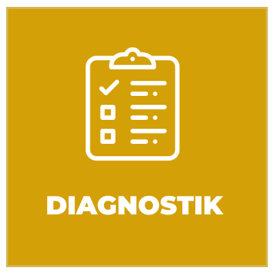 Diagnostik Icon in gold