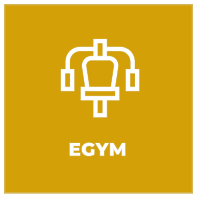eGym Icon in gold